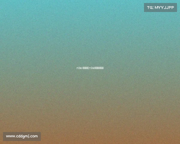 nba 赛事简介;nba赛程百度百科