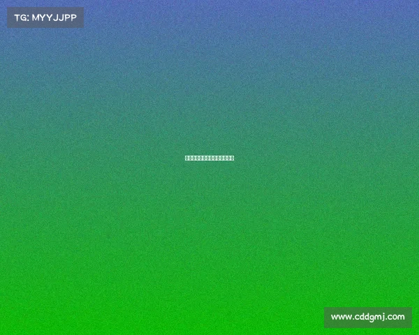 城市定向赛赛事城市定向赛规则